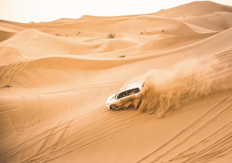 Doha: Half-Day Desert Safari, Quad Bike, Camels & Inland Sea - Forty minutes of dune bashing