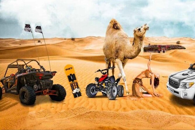 Doha: Half Day Desert Safari with Camel Ride and Inland Sea Tour - Key points to know before you book