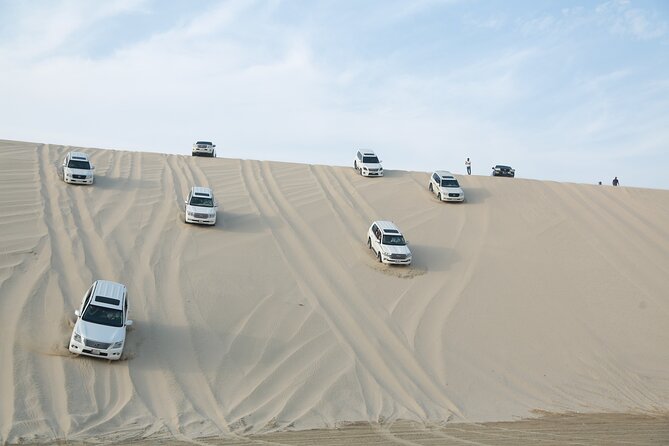 Doha: Half Day Desert Safari with Camel Ride and Inland Sea Tour - Why this half-day desert trip works well from Doha