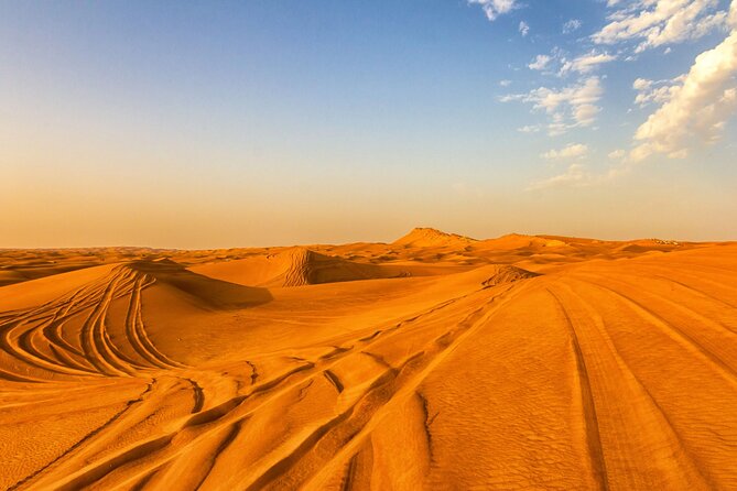 Doha Half Day Desert Safari with Camel Ride and Sand Boarding - Practical details that affect your day