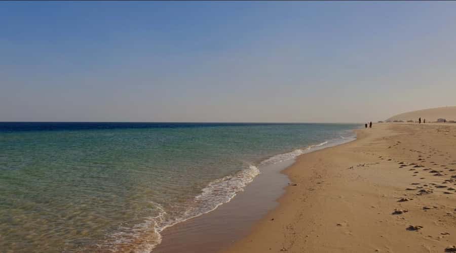 Doha: Half Day Desert Safari With Camel Ride & Sand Boarding - Inland Sea is the scenic highlight