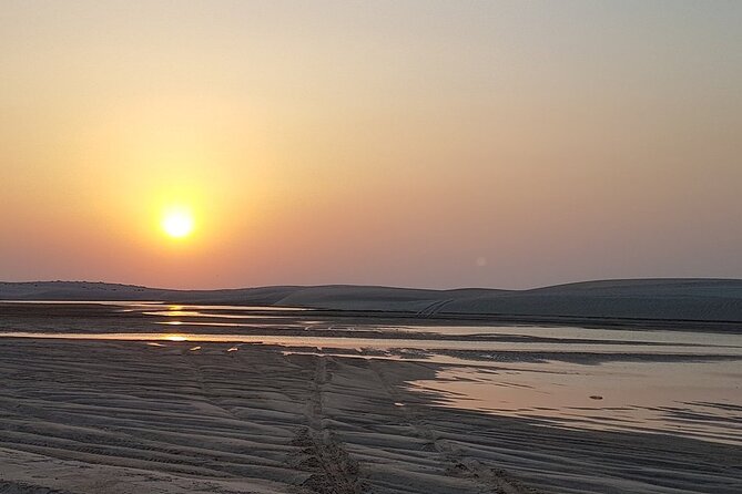 Doha : Half Day Desert Safari With SandBoarding and Camel Ride - How much value do you get for $60?
