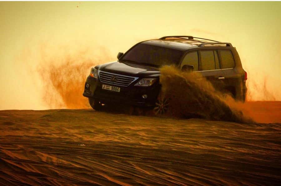 Doha: Half Day Layover Desert Safari, Camel Ride, SandBoard - Key points to know before booking