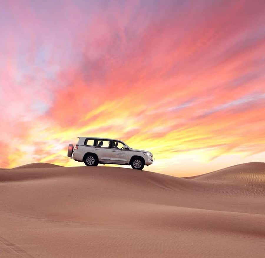 Doha: Half Day Layover Desert Safari, Camel Ride, SandBoard - Why this tour works so well for a Doha stopover