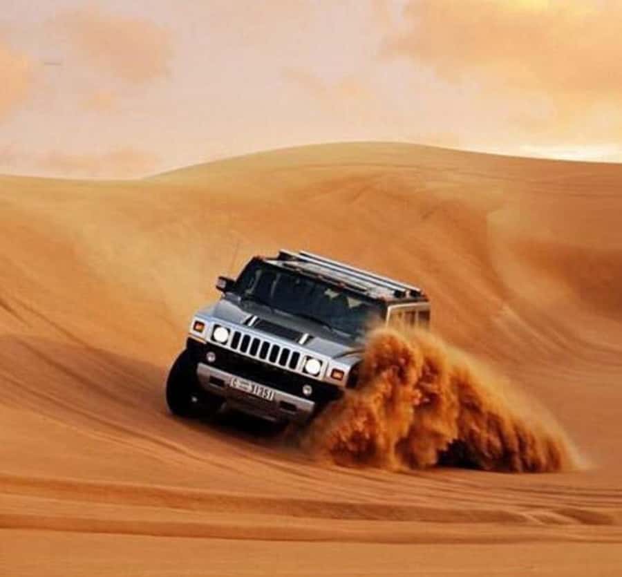Doha: Half Day Layover Desert Safari, Camel Ride, SandBoard - What the $21 price really gives you