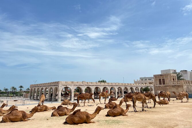 Doha Highlights Guided Tour With Dhow Cruise - Lusail Marina and the iconic tower