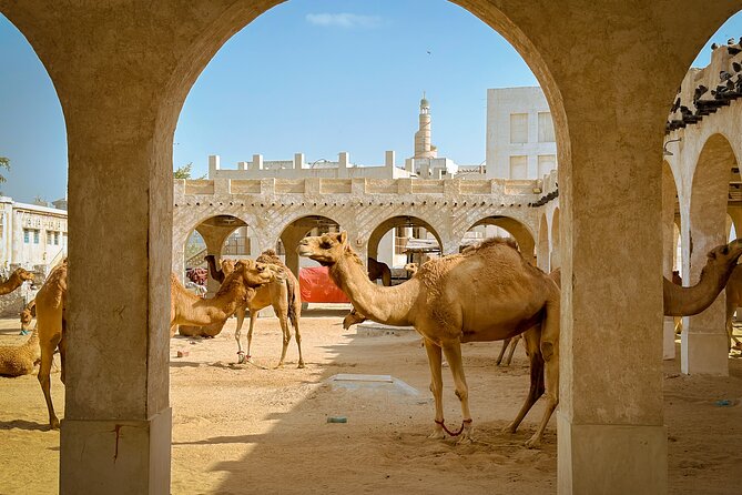 Doha Highlights Private City Tour with Licensed Tour Guide - The National Museum of Qatar and the desert rose design