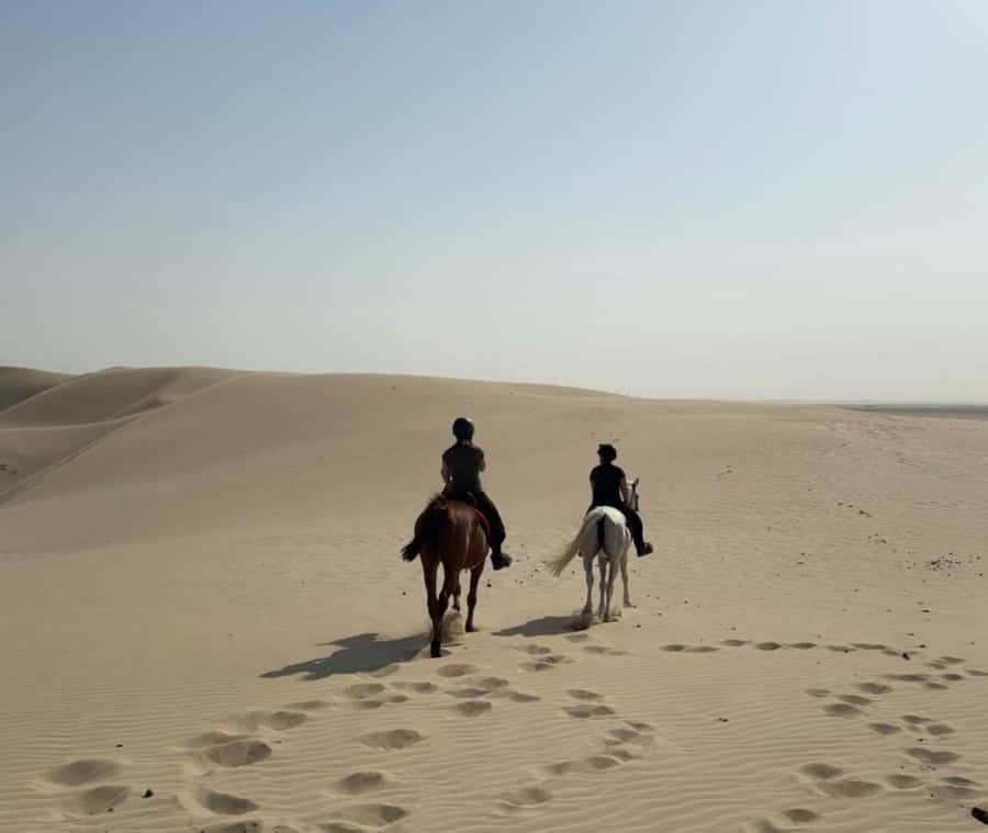 Doha Horseback Riding Adventure in Desert with Transfers - Key points at a glance