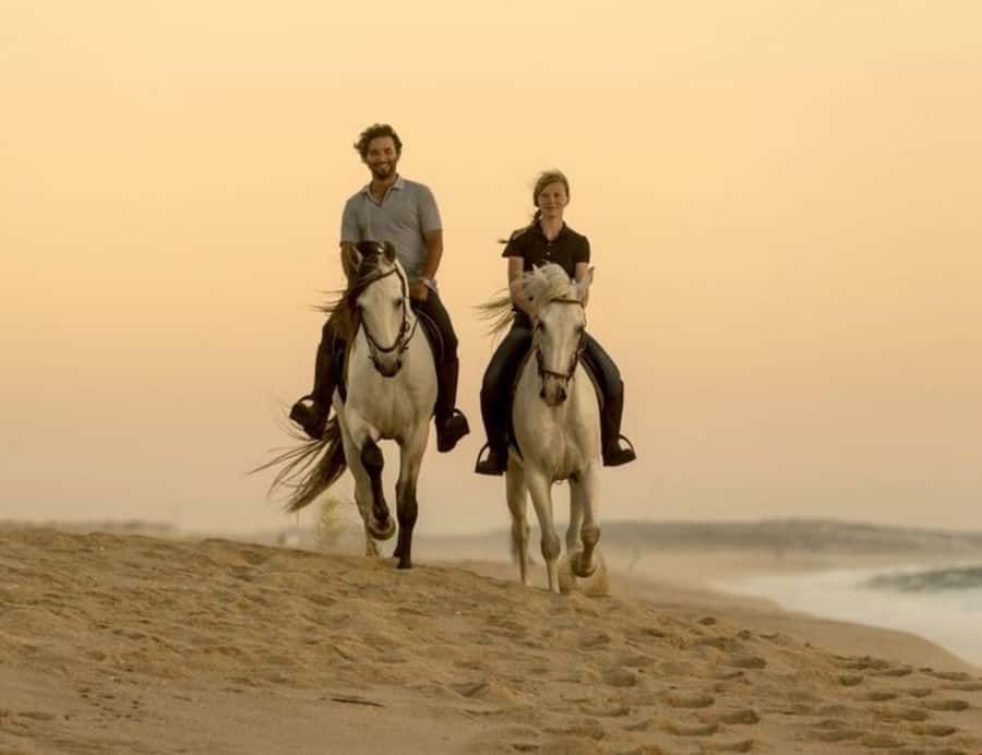 Doha Horseback Riding Adventure in Desert with Transfers - Arabic coffee and a short cultural connection