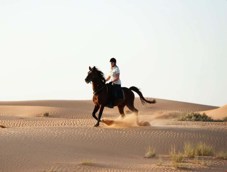 Doha Horseback Riding Adventure in Desert with Transfers - Transport, timing, and the important booking question