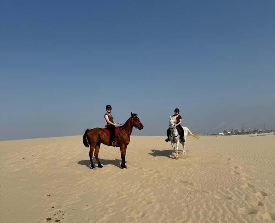 Doha Horseback Riding Adventure in Desert with Transfers - Who should book this horse ride?