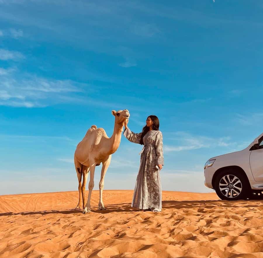 Doha: Inland Sea, Desert Safari, Camel Ride and Sandboarding - Shared or private: choosing the right version