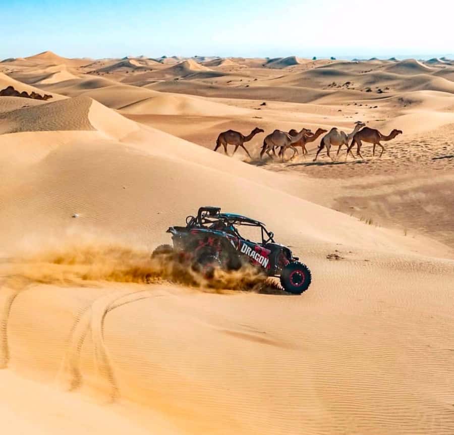 Doha: Inland Sea, Desert Safari, Camel Ride and Sandboarding - What the $17 price really buys