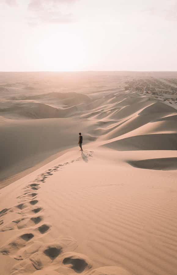 Doha : Inland Sea Desert Safari ,Camel Ride & Sandboarding - Who will enjoy this desert safari most