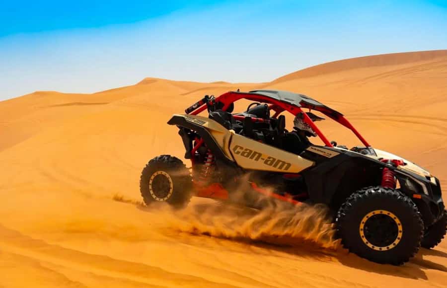 Doha: Inland Sea Desert Safari with Sunset & Sunrise Views - Sealine Beach and the camels