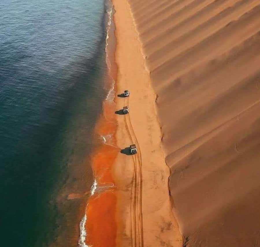 Doha: InlandSea Tour,Camel,Sand Boarding With All Activities - Sandboarding for an easy extra thrill