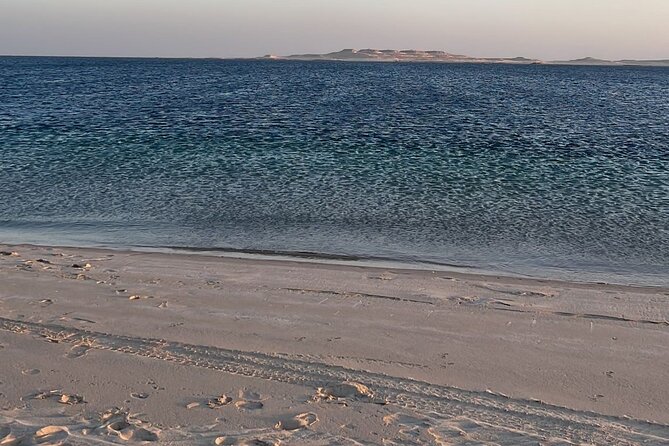 Doha Layover or Doha Stopover Tour with Desert & City Tour - Three hours among Qatar’s dunes