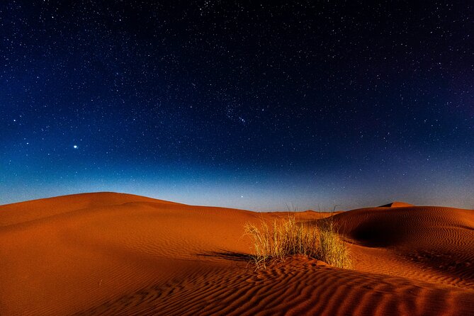 Doha Night Desert Safari Adventure - From Doha to Sealine, the desert begins before the sand