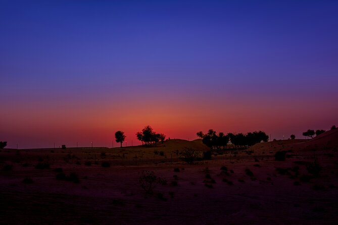 Doha Night Desert Safari Adventure - Sandboarding from the highest dunes