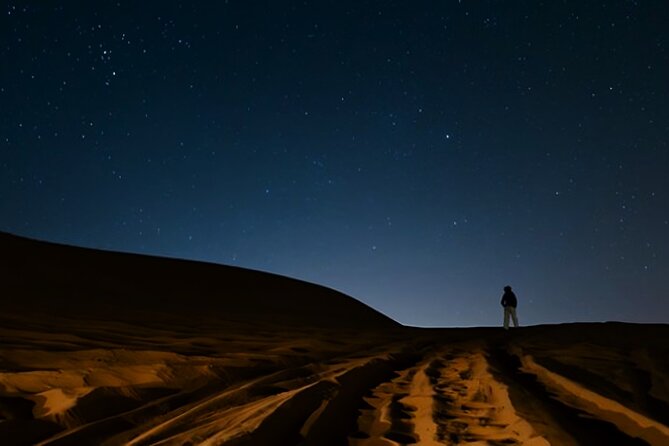 Doha Night Desert Safari Camel Ride Dune Bashing with Transfer - Practical advice for a smoother evening