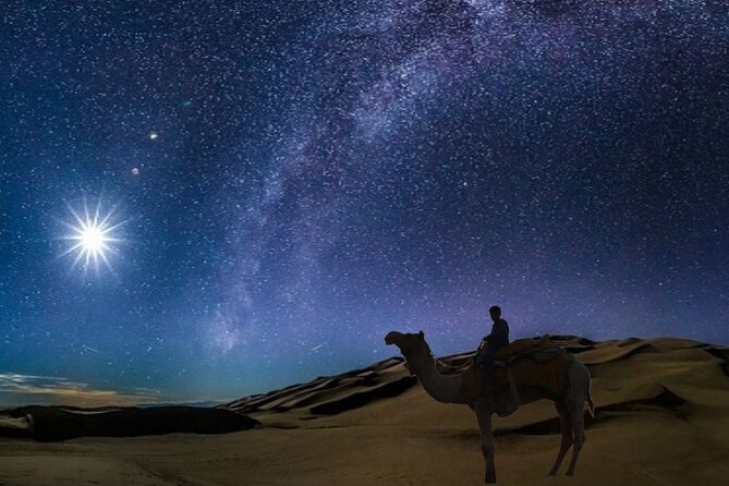 Doha Night Desert Safari Camel Ride Dune Bashing with Transfer - Night dune bashing over Qatar’s sand