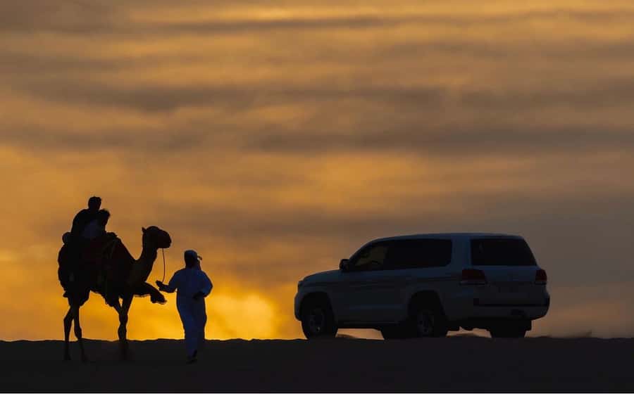 Doha Night Desert Safari Stargazing And Camel Ride - What the stargazing is really like