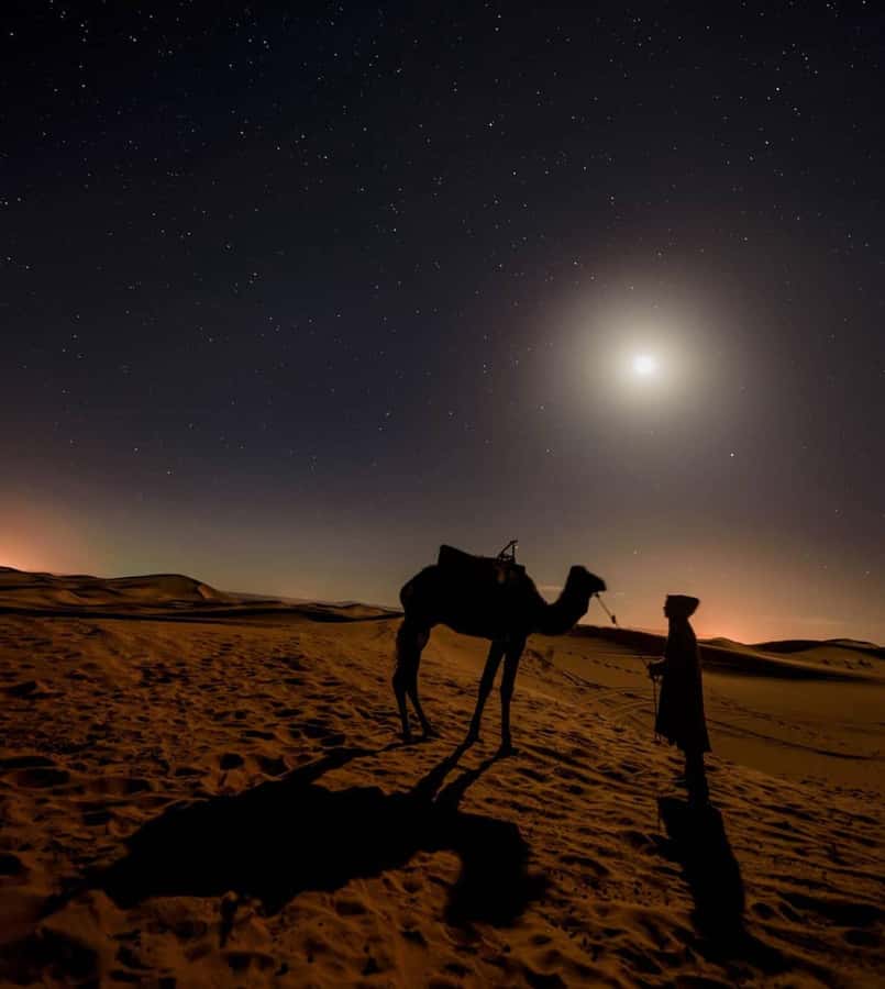 Doha Night Desert Safari Stargazing And Camel Ride - Practical advice before you go