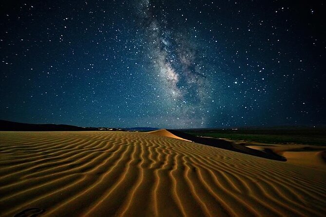Doha Night Desert Safari Stargazing Camel Ride and Dune Bashing - From Doha to the Sealine desert