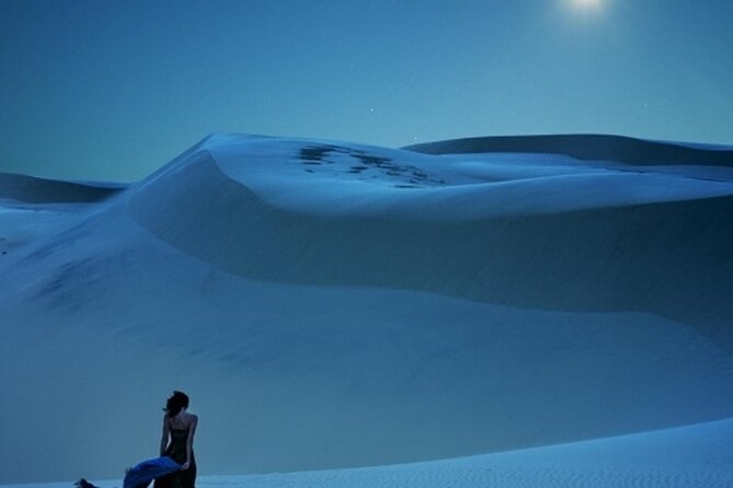 Doha Night Desert Safari Stargazing Dune Drive Camel Ride - What the $65 price really covers