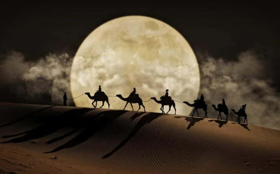 Doha: Night Desert Safari, Stargazing, Dune Driving &Inland - Why Qatar’s desert works so well at night