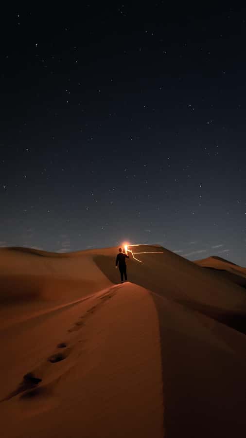 Doha: Night Desert Safari, Stargazing, Dune Driving &Inland - Tea, camels, and a short stop at Mesaieed