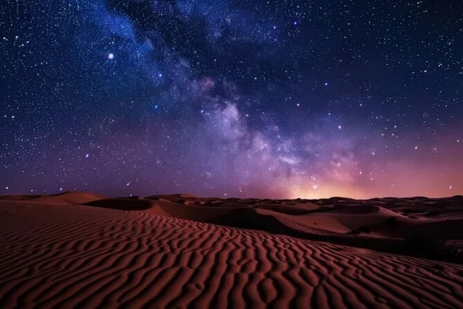 Doha Night Desert Safari, Stargazing, Photography، Relaxation - Camels for a slower desert experience