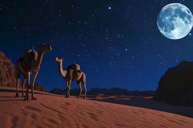Doha Night Desert Safari, Stargazing, Photography، Relaxation - How the $77.50 price measures up