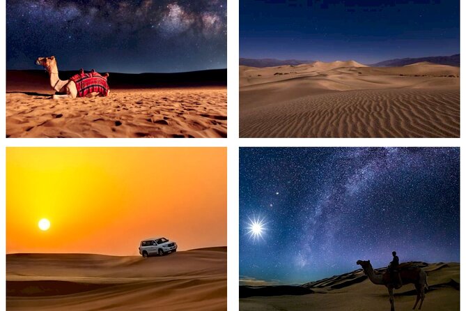 Doha : Night Desert Safari | Transit Safari | Camel ride | Dune Bashing - Key points to know before booking
