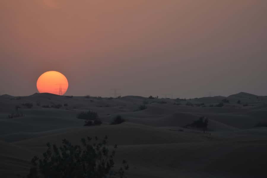 Doha: Night Desert Safari with Camel Ride and Sandboarding - A four-hour route from Doha to the Inland Sea