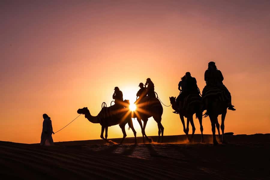 Doha: Night Desert Safari with Camel Ride and Sandboarding - Forty minutes of dune bashing