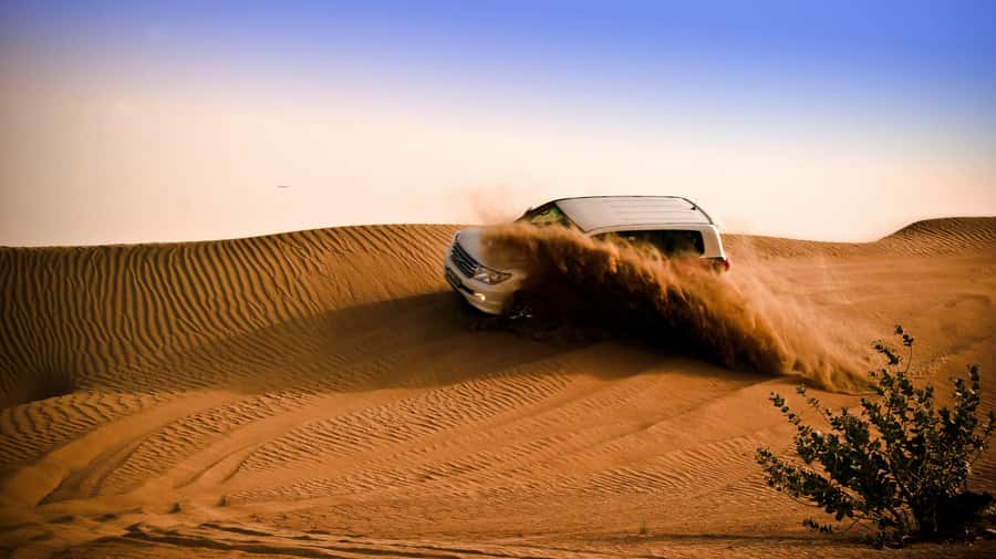 Doha: Night Desert Safari with Camel Ride and Sandboarding - The camel stop: quiet time before the speed