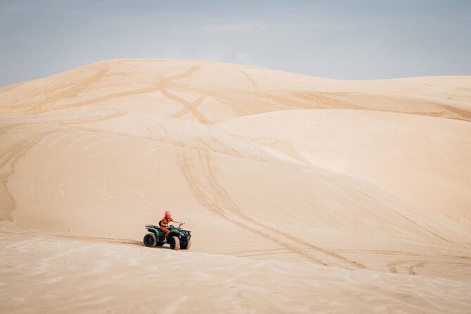 Doha-Night Desert Safari with Sand Board and Camel Ride - Camel riding adds a quieter desert moment