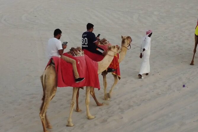 Doha-Night Desert Safari with Sand Board and Camel Ride - Is $80 a fair price?