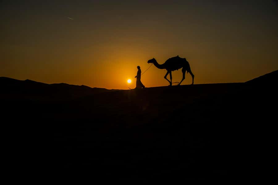 Doha: Night Desert Safari With Stargazing and Inland Sea - From Doha to Sealine, where the desert changes character