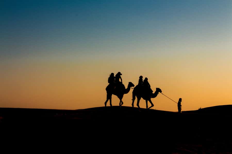 Doha: Night Desert Safari With Stargazing and Inland Sea - The Inland Sea, a quiet finish near Saudi Arabia