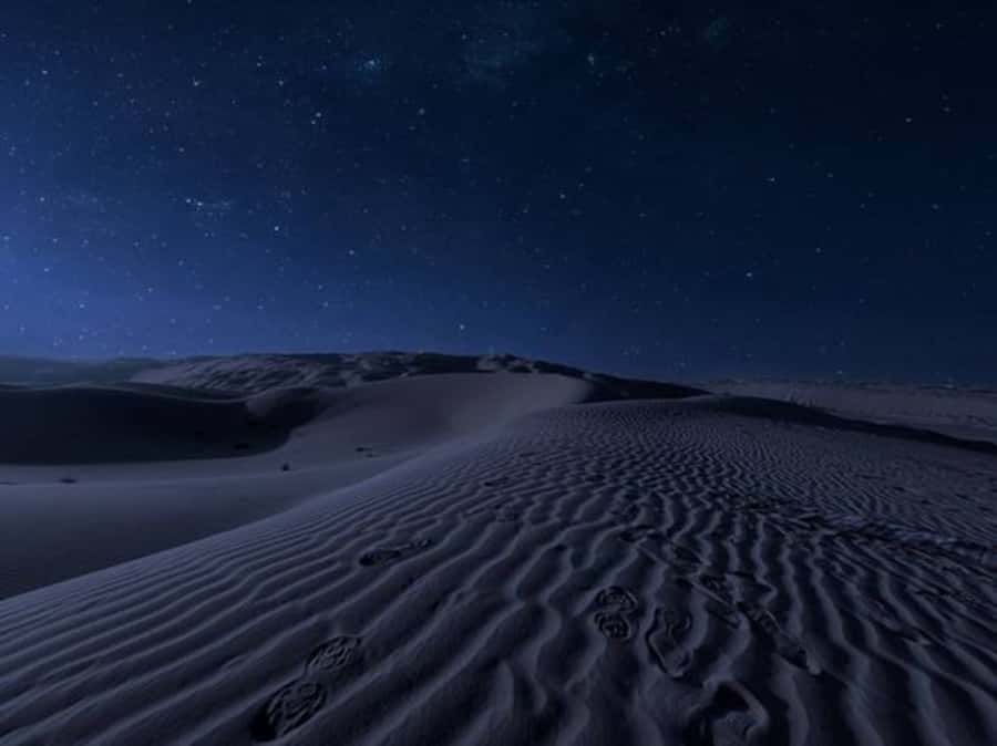 Doha: Night Desert Safari with Stargazing & Camel Ride - Key points to know before booking