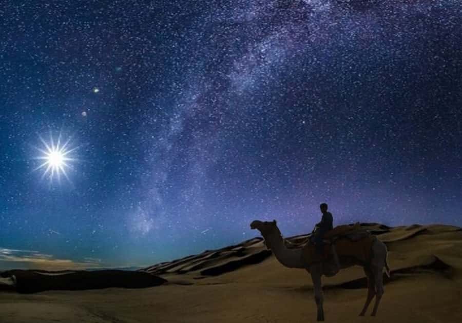 Doha: Night Desert Safari with Stargazing & Camel Ride - Dune bashing in a Toyota Land Cruiser