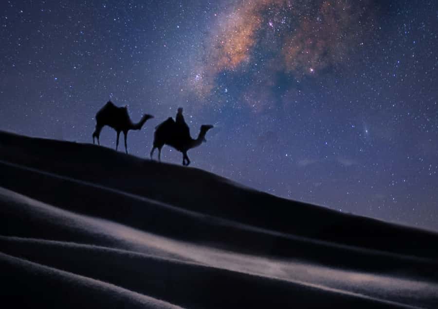 Doha: Night Desert Safari with Stargazing & Camel Ride - Reaching the Inland Sea after sunset