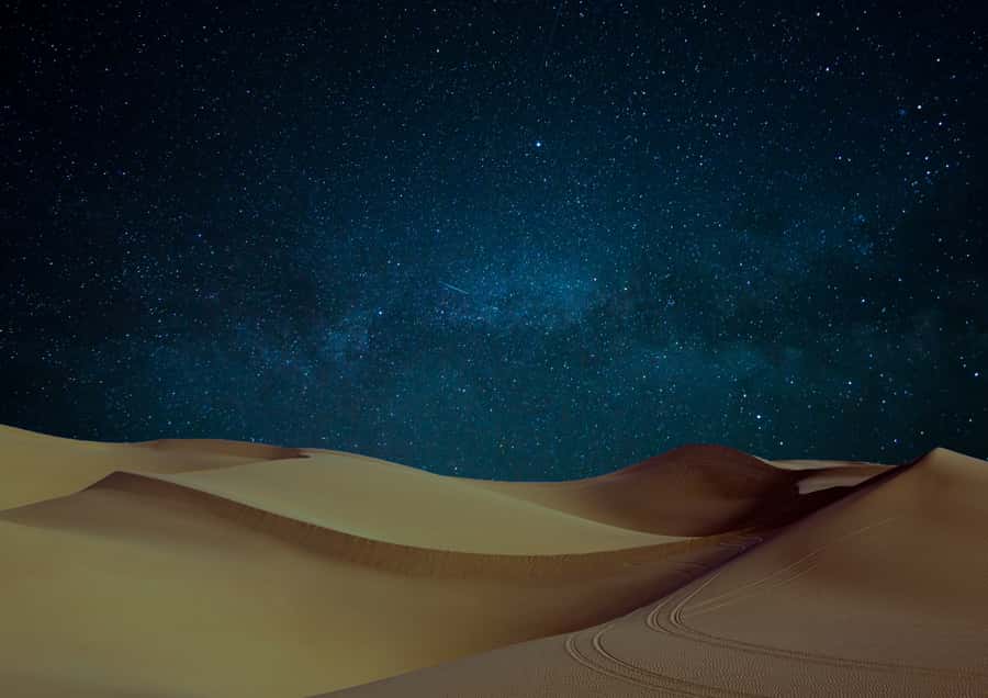 Doha: Night Desert Safari with Stargazing & Camel Ride - Who will enjoy this desert safari most