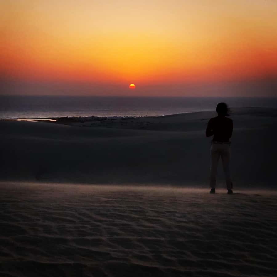 Doha: Night DesertSafari DuneBashing Sandboarding CamelRide - Key points before you book