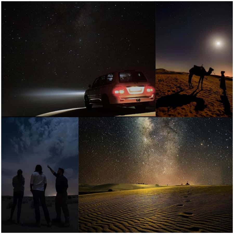 Doha: Night Safari with Dune Bashing and Camel Ride - Key points to know before you book