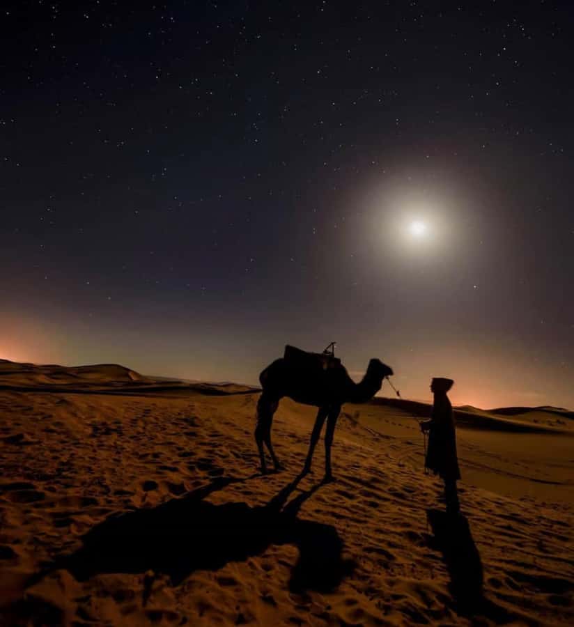 Doha: Night Safari with Dune Bashing and Camel Ride - Leaving Doha for the open desert