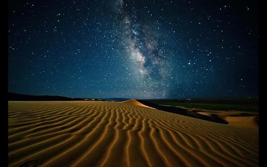 Doha: Night Safari with Dune Bashing and Camel Ride - Returning beneath the desert stars
