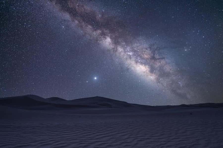 Doha: Night Safari with Dune Bashing and Camel Ride - Who will enjoy this safari most